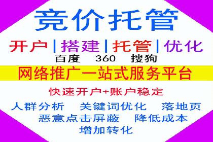 百度优化推广案例：打造高转化率网站